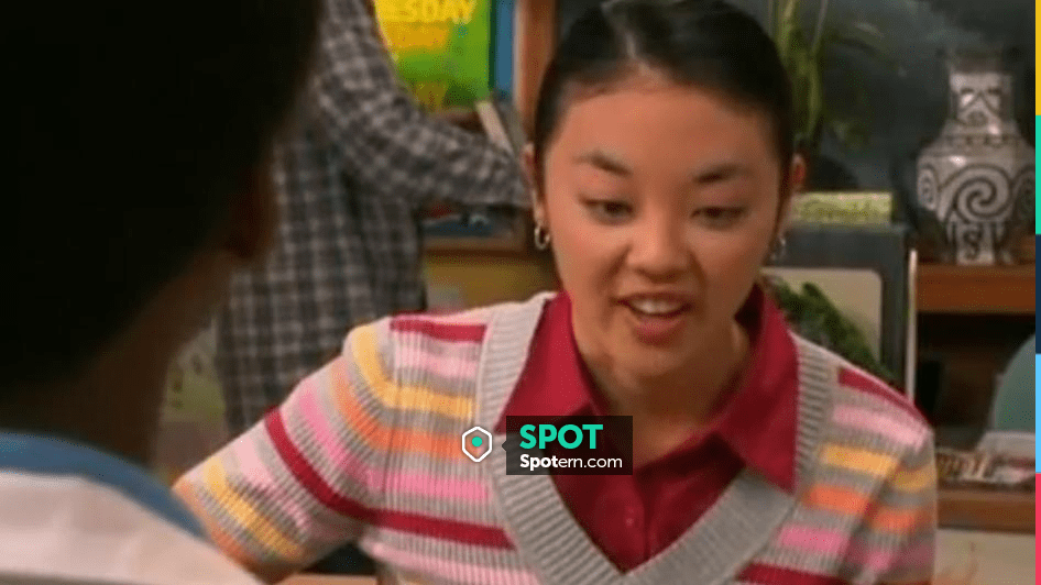 St. John's Bay Striped V Neck Sweater Ribbed Grey Multicolored worn by