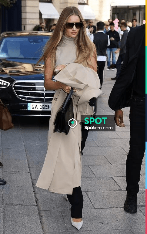 The Row Sofia Bag worn by Rosie Huntington Whiteley in Paris on