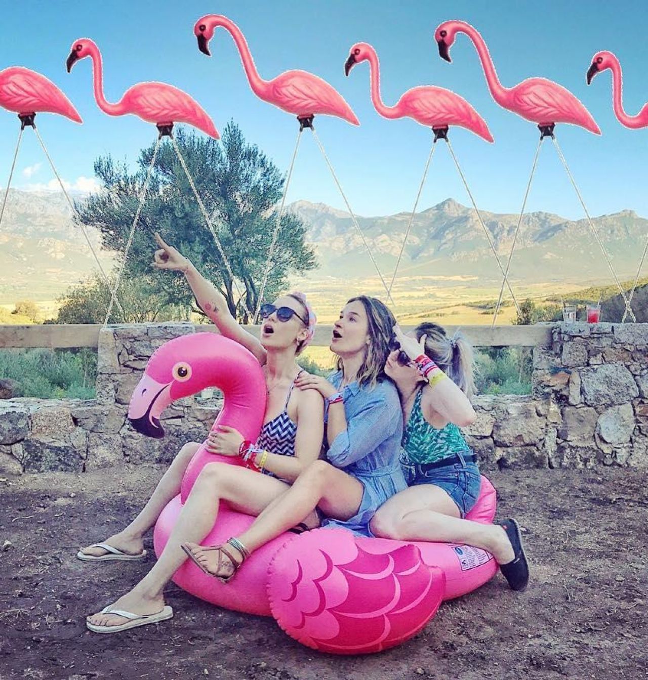 Фламинго Инстаграм