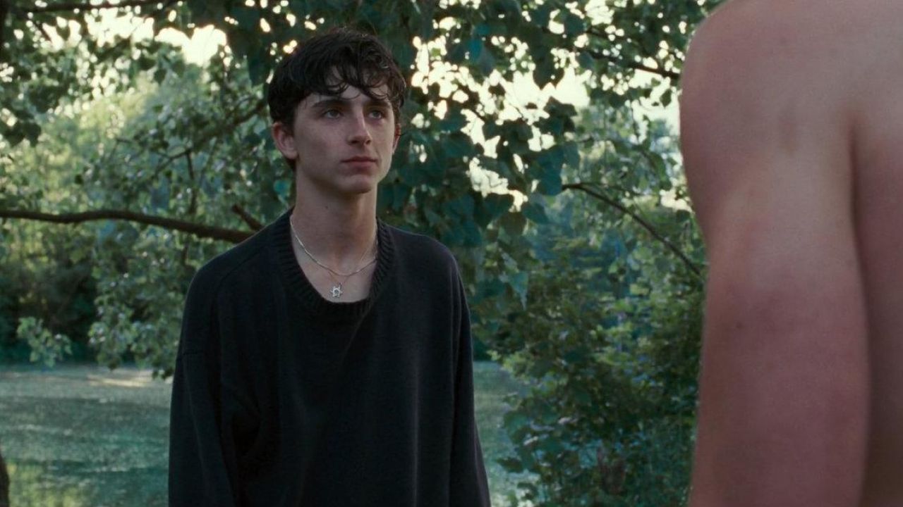 Black Jumper worn by Elio Perlman (Timothée Chalamet) in Call Me by Your Na...