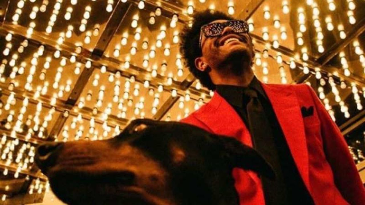 Red Suit Jacket worn by The Weeknd in his Blinding Lights music video