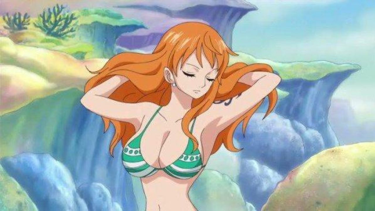 The outfit / cosplay of Nami (two years after) in One Piece.