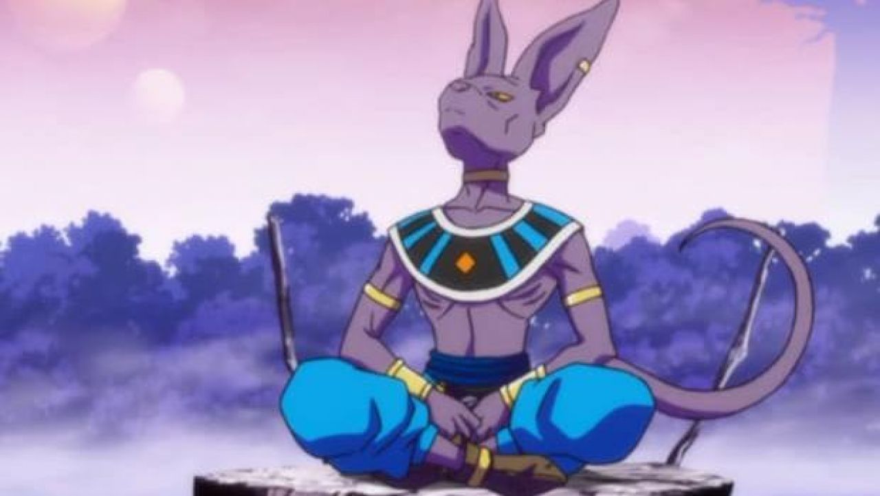 The Outfit Cosplay Of Beerus From Dragon Ball Super Spotern 5333