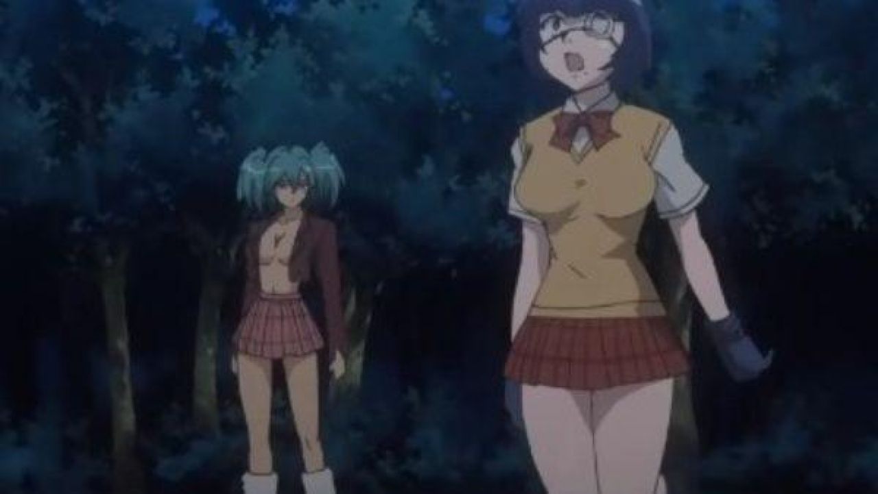 The outfit / cosplay of Ryofu in Ikki Tousen.