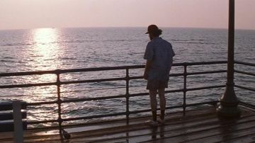 Sneakers Nike Cortez Forrest Gump (Tom Hanks) in Forrest Gump