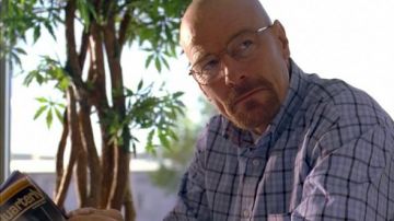 The plaid shirt of Walter White (Bryan Cranston) in Breaking Bad S01E01