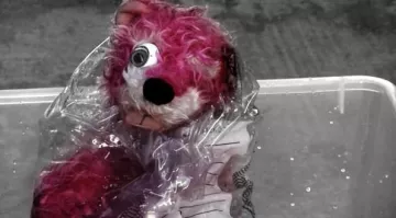 The teddy bear pink from Breaking Bad