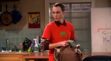The t-shirt "Space Invader" by Sheldon Cooper (Jim Parsons) in The Big Bang Theory S02E05