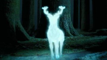 La réplica del cartel del Patronus de Harry Potter (Daniel Radcliffe) en Harry Potter y el prisionero de Azkaban
