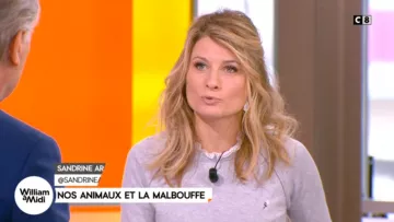 Le pull gris avec col à plis amovible de Sandrine Arcizet dans William à midi du 30/01/2018