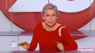 The sweater with snake rhinestone Elisabeth Quin in 28 minutes of 02/02/2018