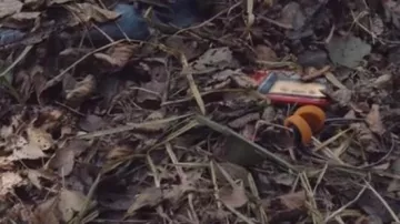 the headset ended up with the walkman in the Forest in the Dark S01E01