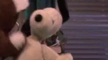 La peluche Snoopy que tient James Ubriacco (John Travolta) dans le film Allô maman ici bébé