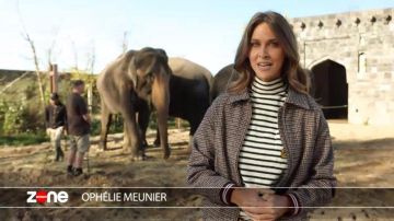 The navy stripes embroidered anchors of Ophélie Meunier in the forbidden Zone of the 22/10/2017