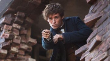 The magic wand of Norbert Dragon (Eddie Redmayne) in fantastic Animals