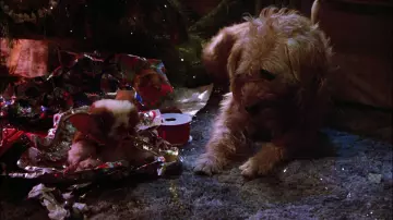 The reply cuddly Mogwai in Gremlins