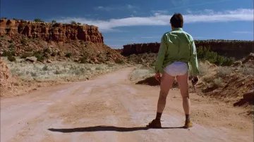 La paire de chaussures Wal­la­bee Daim beige de Heisenberg / Walter White (Bryan Cranston) dans Breaking Bad S01E01