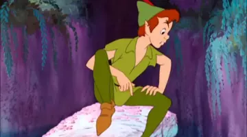 hat Captain Hook Peter Pan