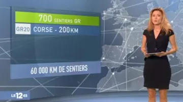 The dress conceals the heart of Diane Douzillé in The 12:45 to M6 of the 15/03/2018