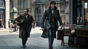 The suitcase leather of Norbert Dragon (Eddie Redmayne) in The fantastic Animals : The Crimes of Grindelwald