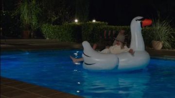 The buoy swan of Diane Keaton in The book club