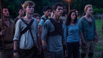 the plastron runner's Thomas (Dylan O'brien) in the maze
