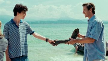 The Lacoste polo striped Elio Perlman (Timothée Chalamet) in Call me by your name