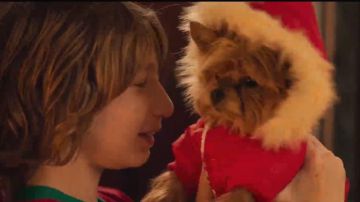 The coat for dog seen in the movie Marie-Francine