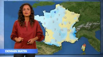 The blouse folded sleeve of Laurence Roustandjee in The weather of M6 of 29/04/2018
