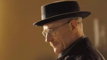 Le déguisement chapeau + lunettes + barbe + crane chauve de Walter White (Bryan Cranston) dans la série Breaking Bad Saison 2 Episode 1