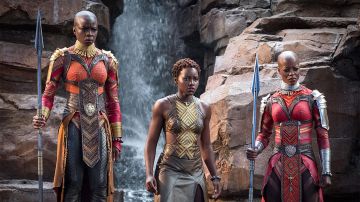 The leather dress of Nakia (Lupita'nyong o) in a Black Panther