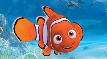 The costume of Nemo in the animated film finding nemo