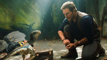 Veste en cuir portés par Owen Grady (Chris Pratt) comme on le voit dans Jurassic World: Fallen Kingdom
