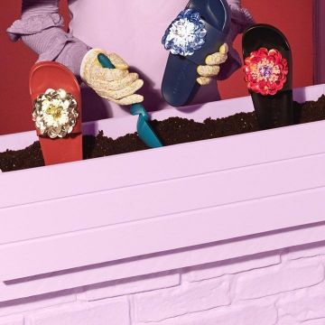 Tap dance at flowers of Katy Perry posted on his account Instagram