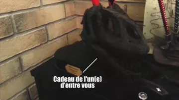 fossile tête T-rex
