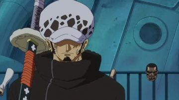 The hat Trafalgar Law (Post workout 2 years) in One Piece