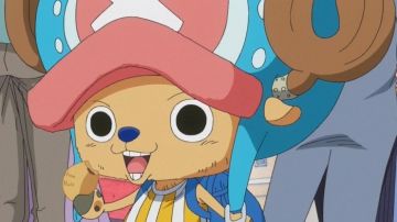 The hat of Chopper-(Post workout 2 years) in One Piece