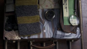 Journal of Norbert Dragon in the Fantastic Animals