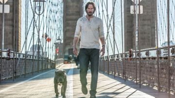 The john of John Wick (Keanu Reeves) in John Wick Chapter 2