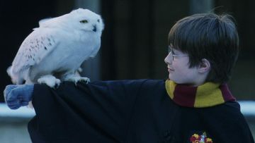 La bufanda de Gryffindor usada por Harry Potter (Daniel Radcliffe) en Harry Potter en la Escuela de Hechiceros