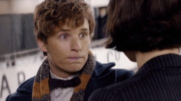The scarf yellow and gray Norbert Dragon (Eddie Redmayne) in Fantastic Animals
