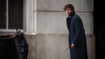 The magic wand of Norbert Dragon (Eddie Redmayne) in Fantastic Animals