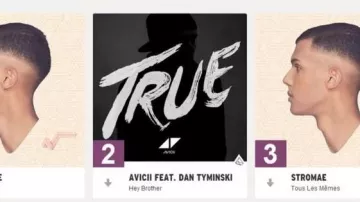CD True Avicii seen in Formidable - Stromae (critique) of Linksthesun