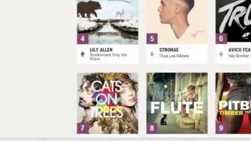 Album : Cats on trees