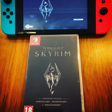 The video game The Elder Scrolls V: Skyrim on Nintendo Switch on the account Instagram of Gastronogeek (Thibaud Villanova)