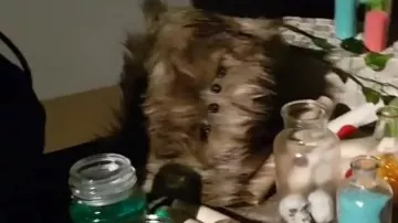 El Monster Book del video de Linksthesun "Vlog - On the set of the Attic Player!"