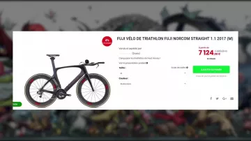 Triathlon bike FUJI NORCOM STRAIGHT 1.1 2017 seen in 20 problems in Pokémon that nobody wants to admit (Linksthesun)