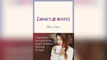 El libro Roadmap del youtuber Enjoy Phoenix visto en el video "¡Este libro es escandaloso!" de Tibo InShape