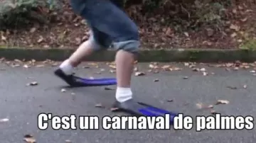 Palmes vues dans Magic in the air - Magic System (crítica) (Linksthesun)