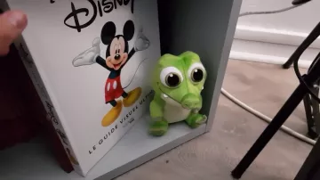 The book Disney's The visual guide the ultimate in youtube video room tour 100% Disney Wonder Hook